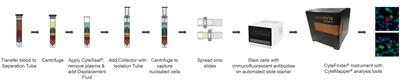 Accurate isolation and detection of circulating tumor cells using enrichment-free multiparametric high resolution imaging